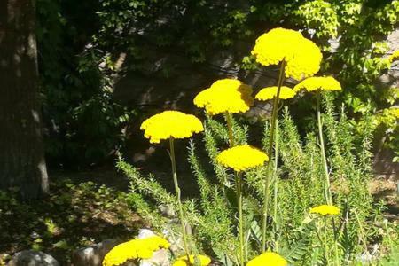 B&B Villaggio Sole Sulmona Buitenkant foto